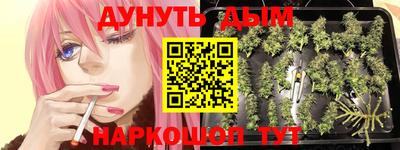 PSILOCYBIN Кунгур