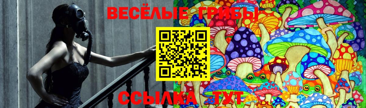 Коломна  Псилоцибиновые грибы MAGIC MUSHROOMS  Вход с VPN 